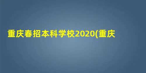 重庆春招本科学校2020(重庆市2021年普通高等学校招生计划汇编)