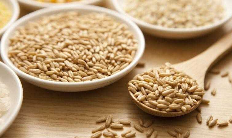 燕麦是碳水化合物吗