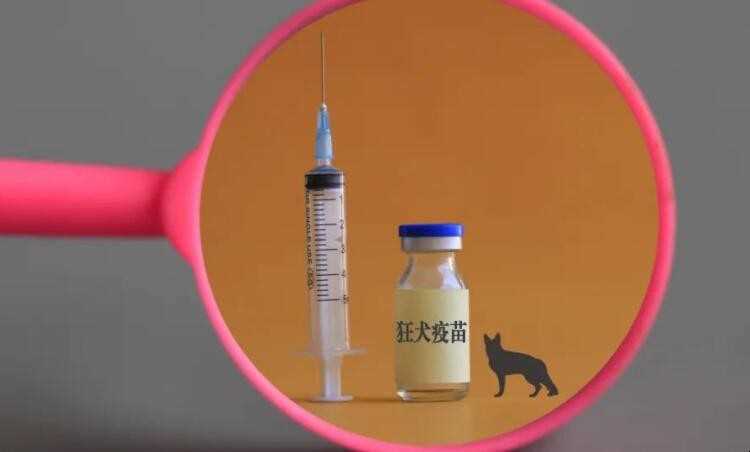 如何检测狂犬疫苗抗体