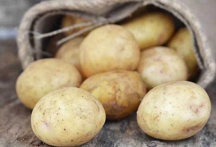 土豆是什么时候传入中国的