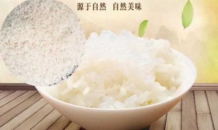 魔芋米可以长期代替米饭吗