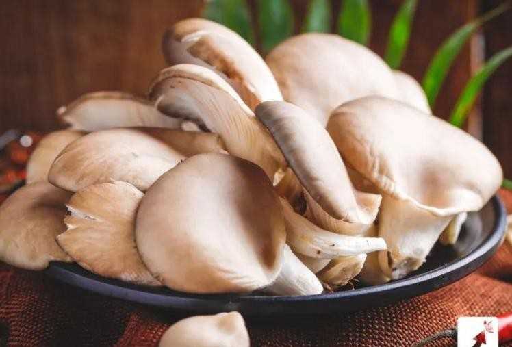 新鲜蘑菇怎么保存