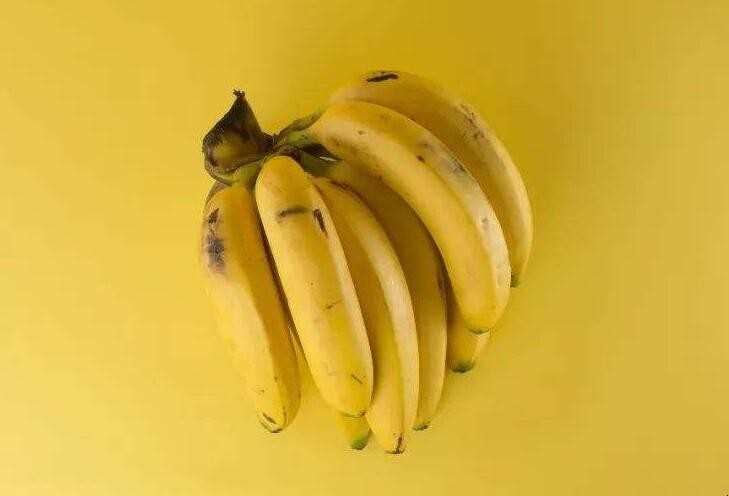 芝麻蕉和香蕉的区别是什么(芝麻蕉和香蕉的区别)