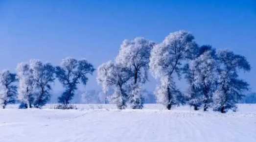 吉林省2023年冬天会是暖冬吗(2024年吉林冬天平均温度)