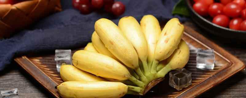 米蕉的功效与作用(【补充营养物质米蕉中含有丰富的碳水化合物】)