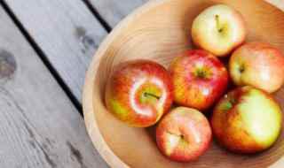 怎么煮苹果好吃又营养(苹果纯牛奶和冰糖的区别)