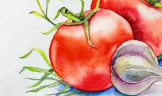 初学水彩画的画法步骤(果肉和水果的区别是什么)