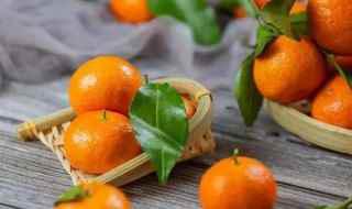桔子是柑橘类水果吗(中国柑橘的经济栽培区有哪些)