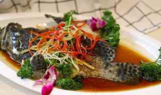 清蒸石斑鱼是哪个地方的菜系名菜(石斑鱼的做法)